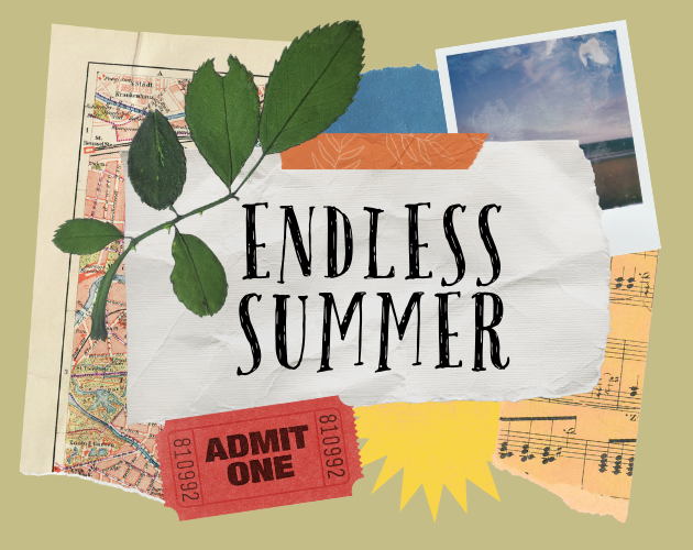 Cover image for Endless Summer: Playbooks & Attractions for Here We Used To Fly