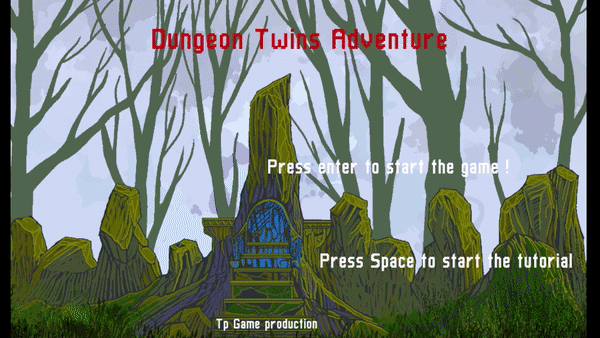 Cover image for Dungeon Twins Adventure