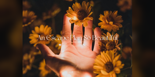 Cover image for An Escape Plan So Beautiful