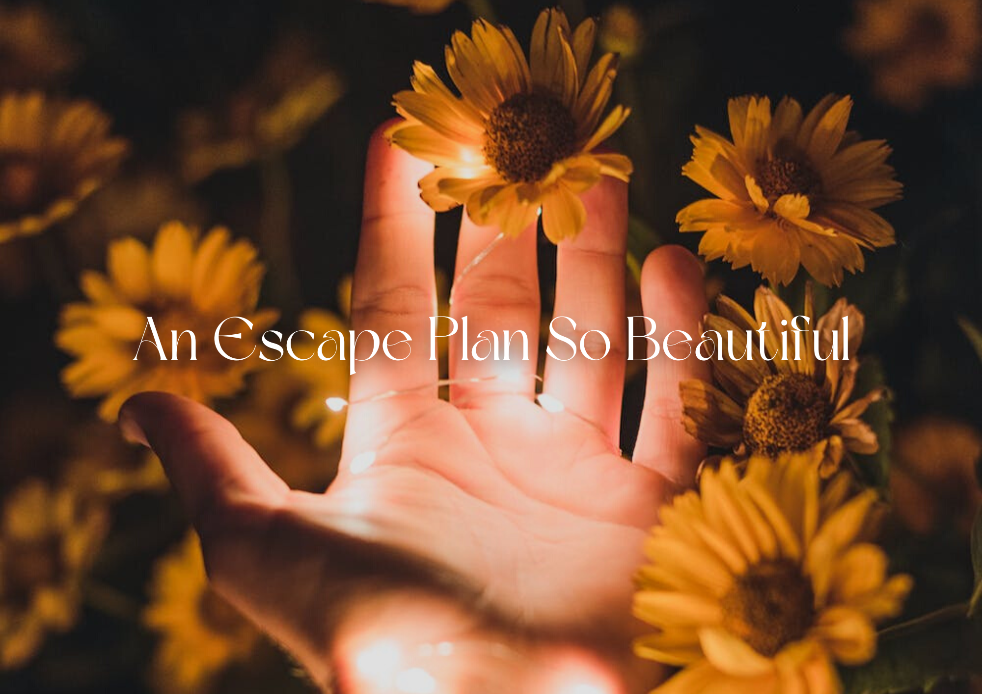 Cover image for An Escape Plan So Beautiful