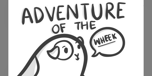 Cover image for Adventure of the wheek