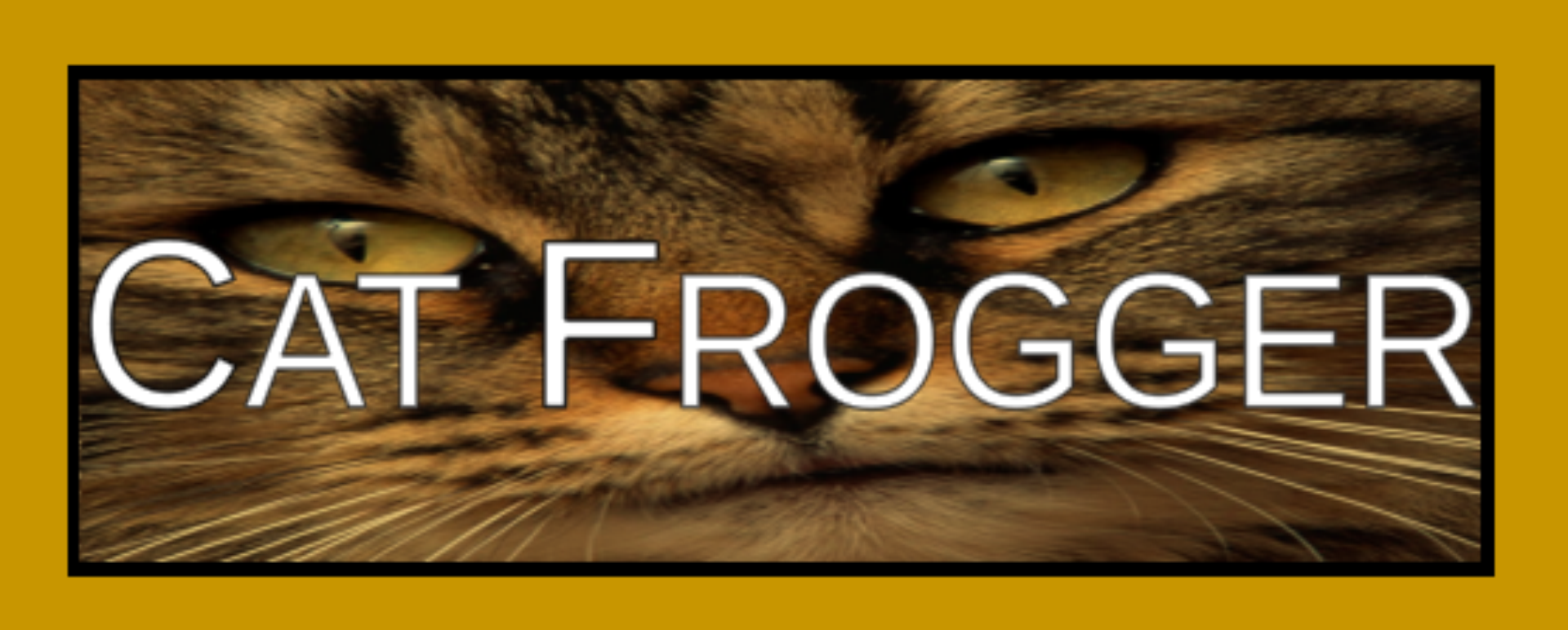 Cat Frogger