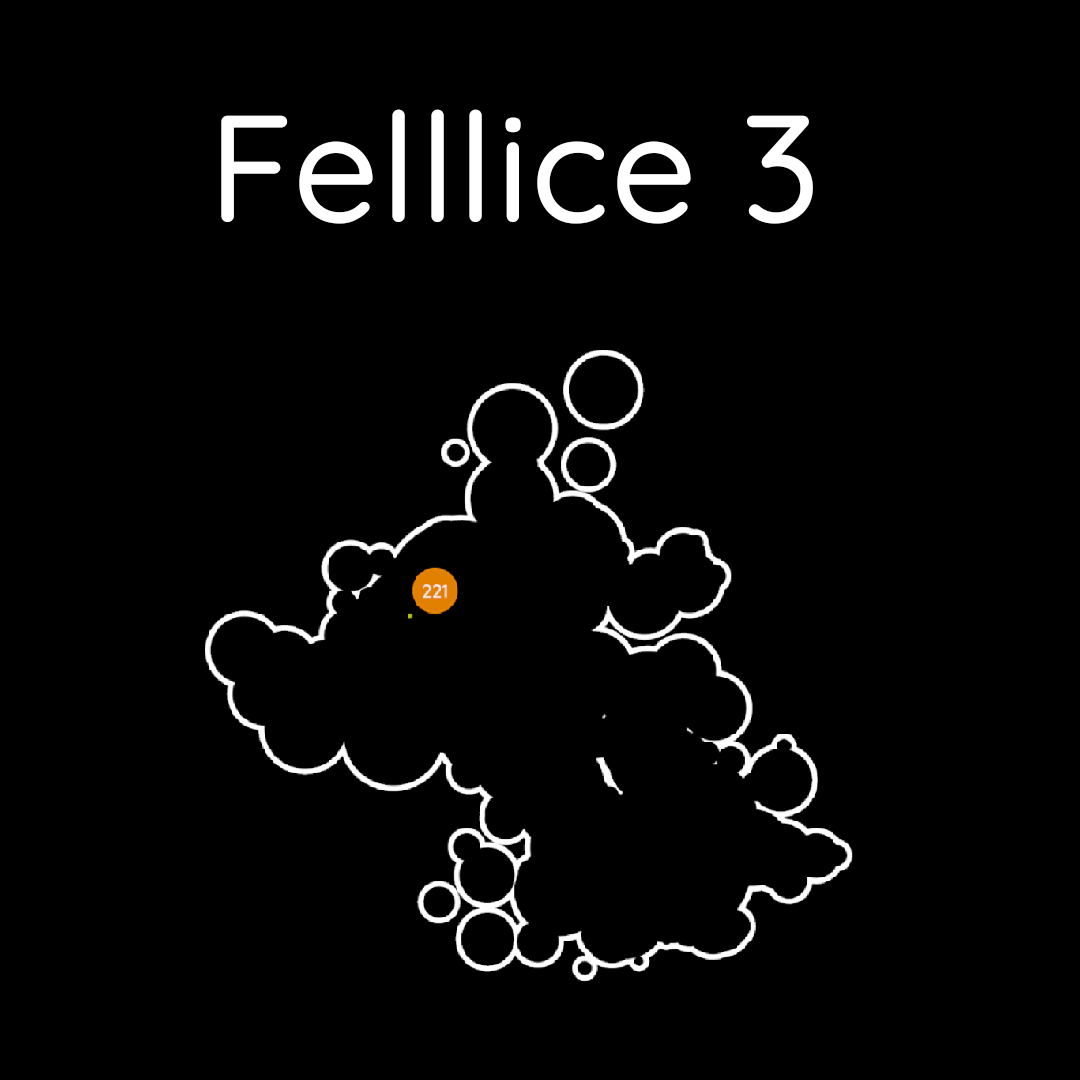 Felllice 3