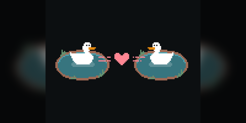 Cover image for Paraducks
