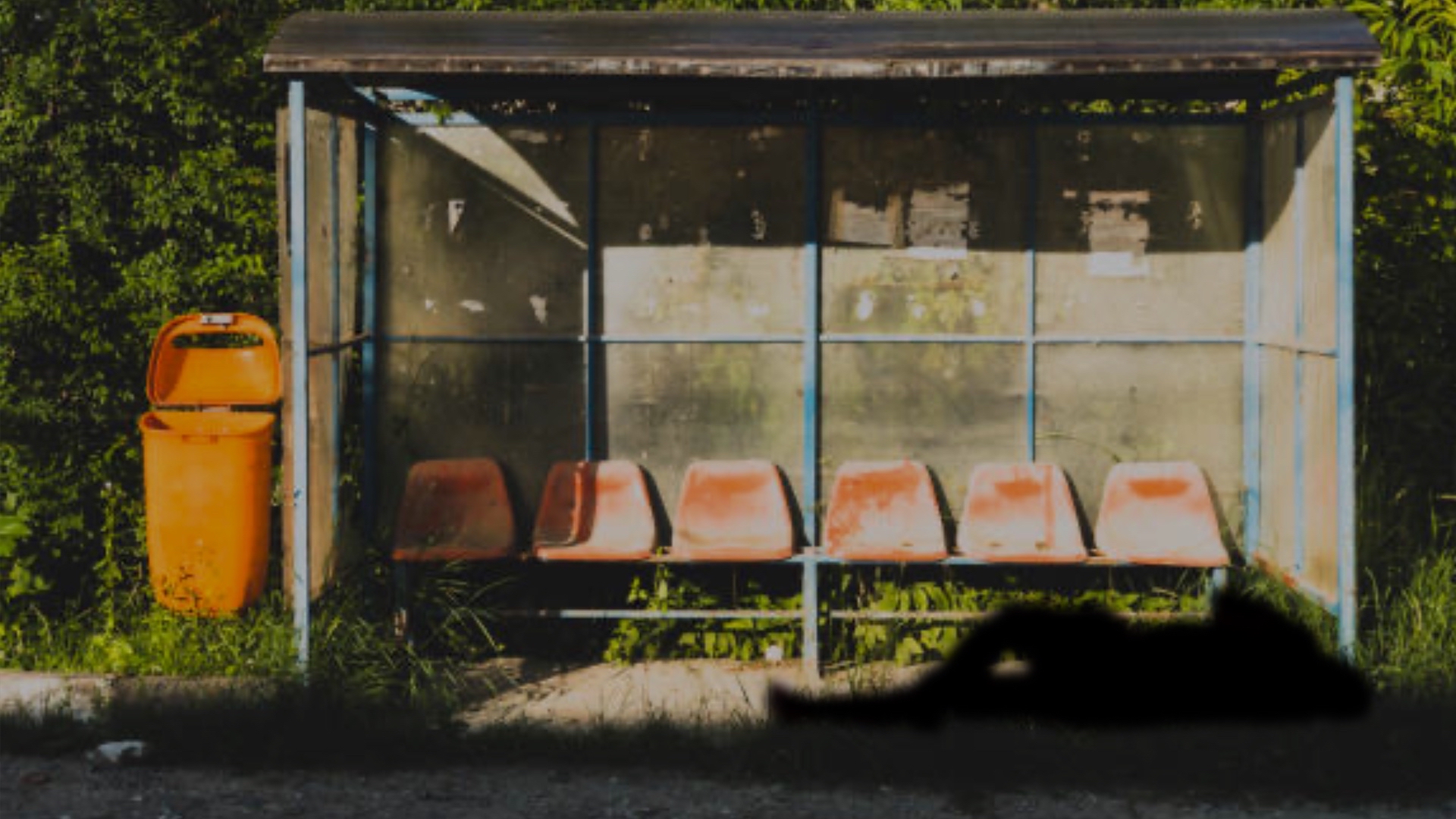 Cover image for Who Cares?