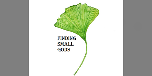 Cover image for Finding Small Gods