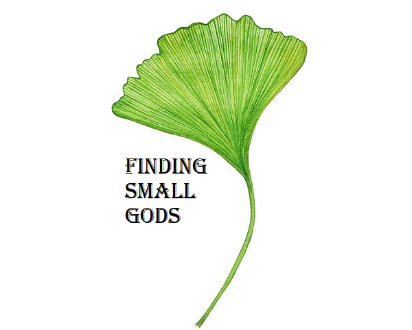 Cover image for Finding Small Gods