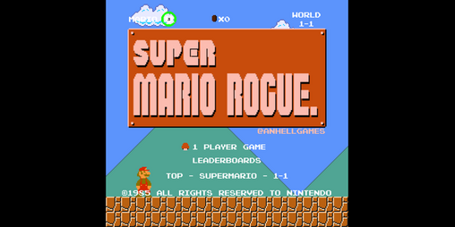 Cover image for Super Mario Rogue