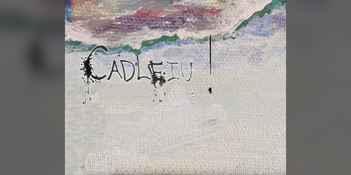Cover image for Cadleiu