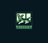 Cover image for Jessie