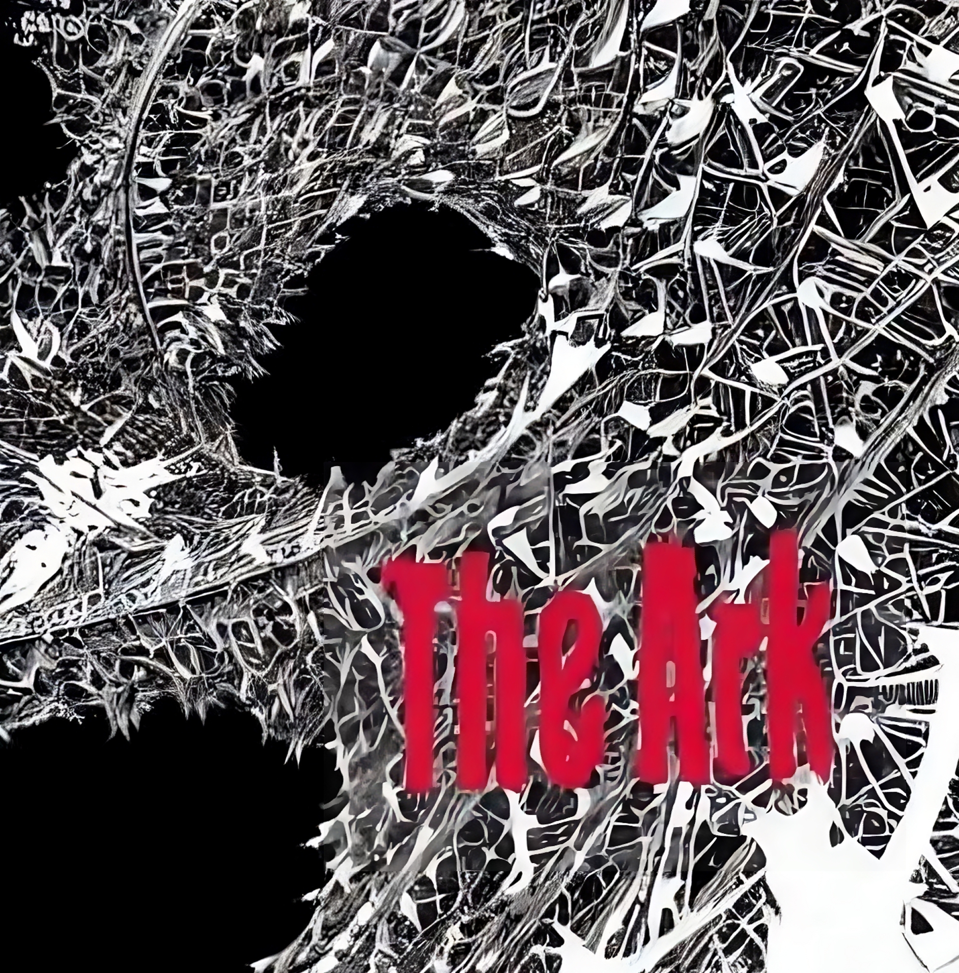 Cover image for The Ark