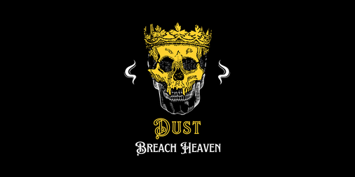 Cover image for Dust
