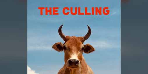 Cover image for THE CULLING: a hunt for Bump in the Dark