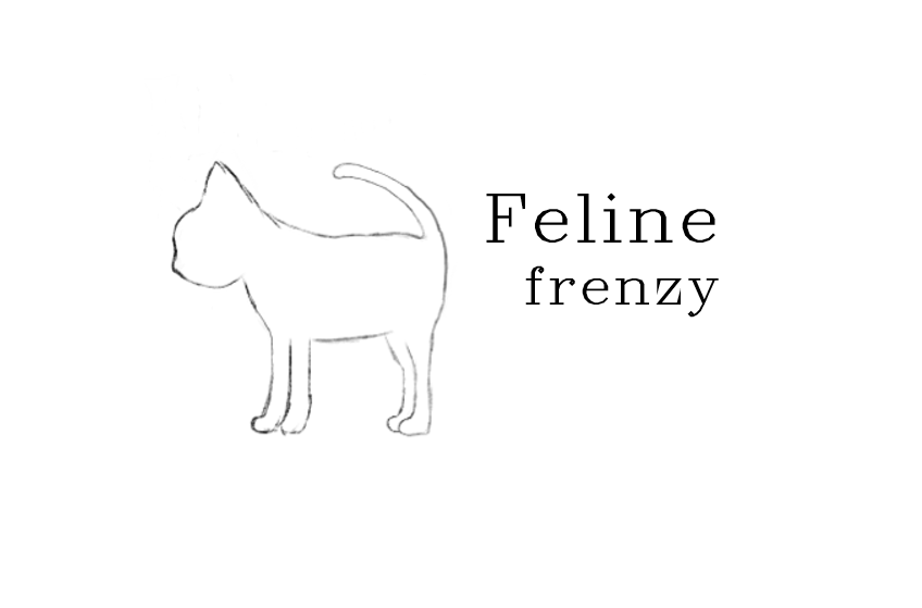 Feline Frenzy