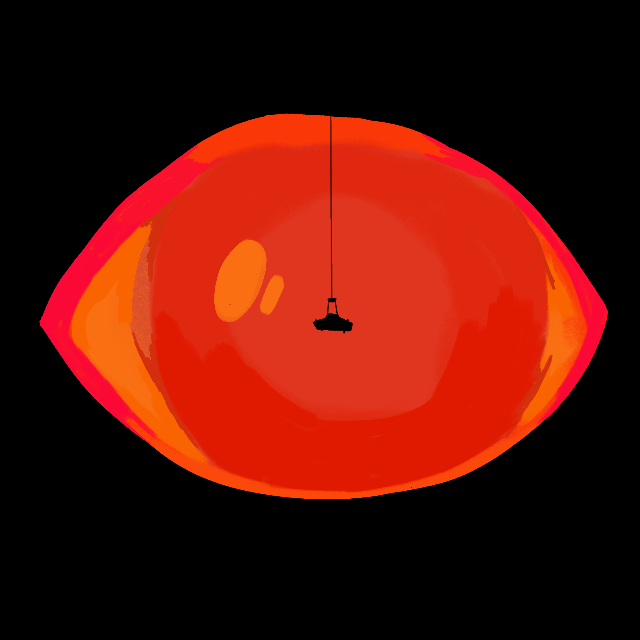 Cover image for Nautilus