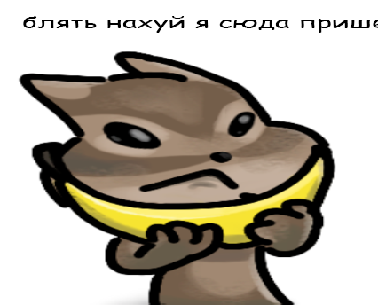 Основы Жобайдена