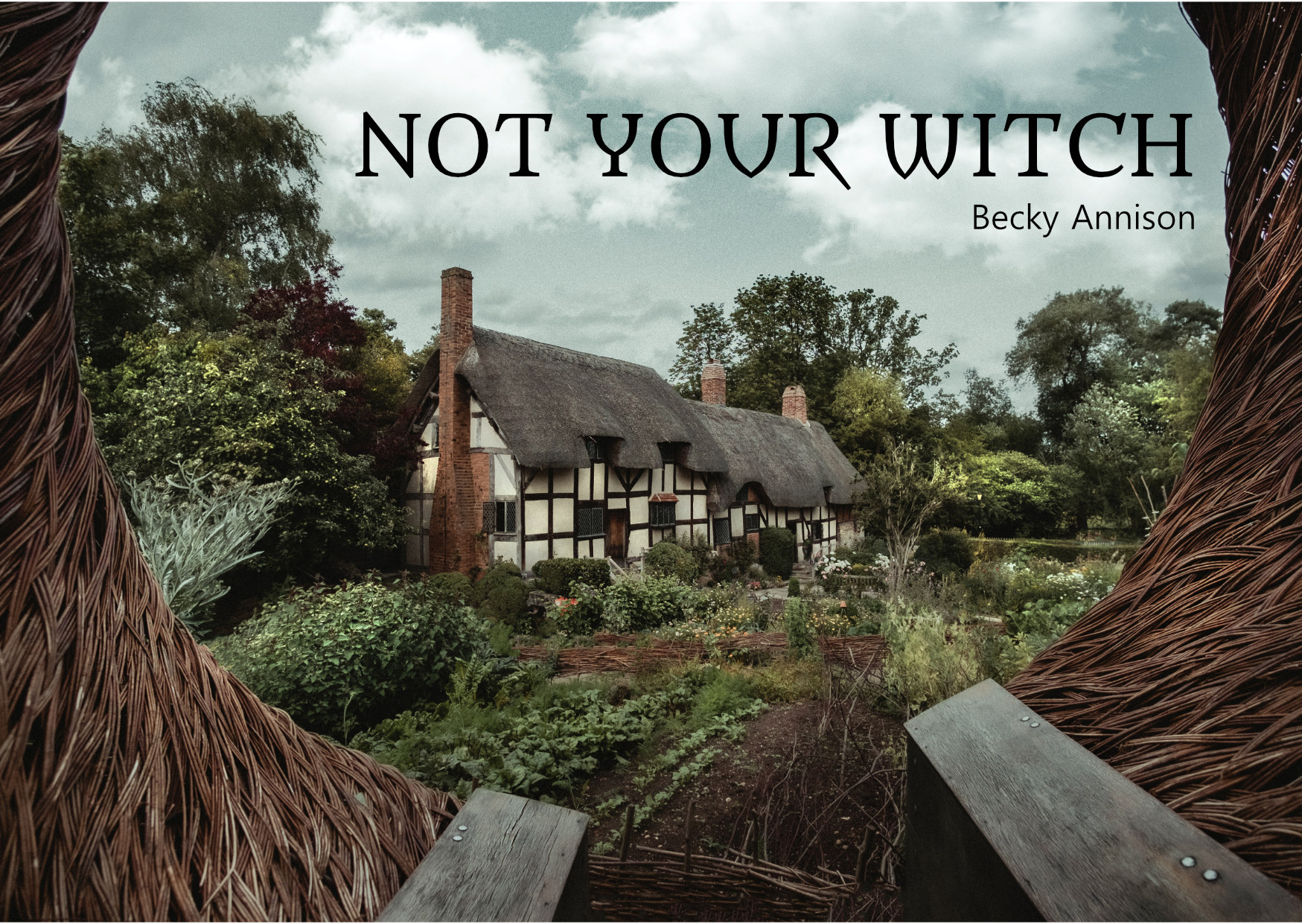 Cover image for Not Your Witch