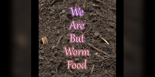 Cover image for We Are But Worm Food: A One-Word RPG
