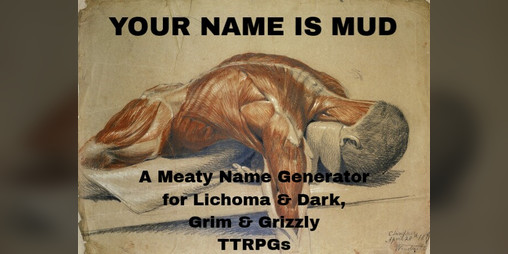 Cover image for YOUR NAME IS MUD