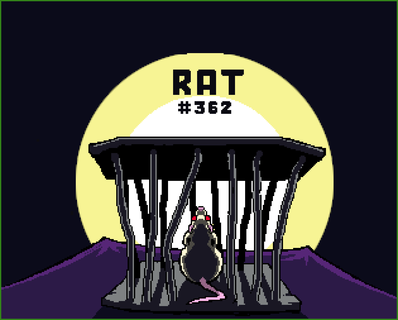 Rat #362