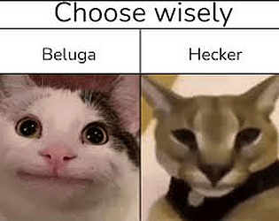 Beluga(polite cat meme)