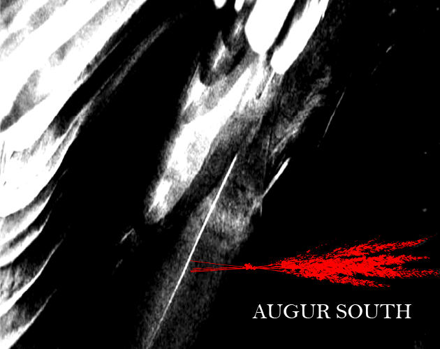 Cover image for AUGUR SOUTH
