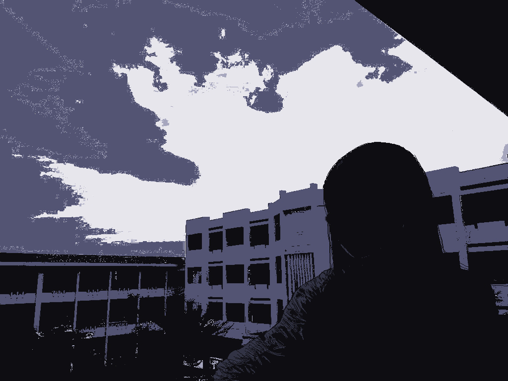 Cover image for The Muse