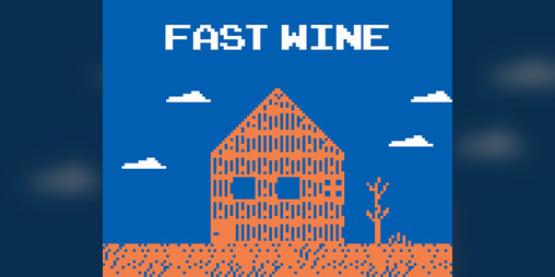 Cover image for Fast Wine