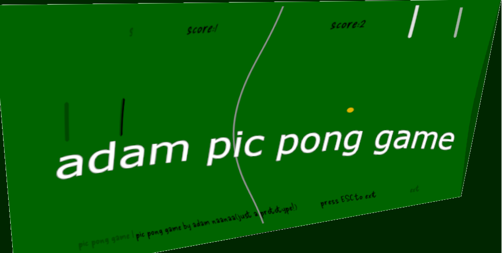 adam pic pong