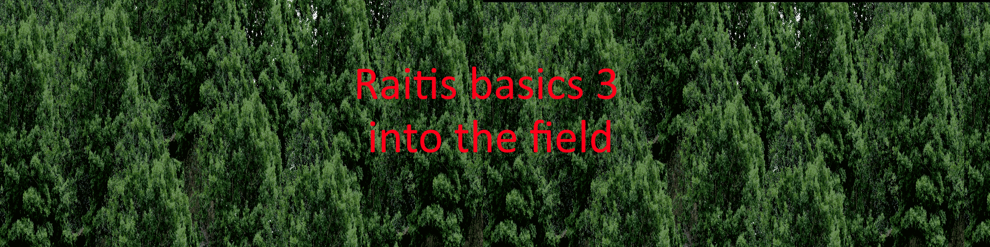 Raitis basics 3:into the feild trip