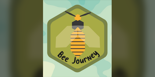Cover image for Bee Journey