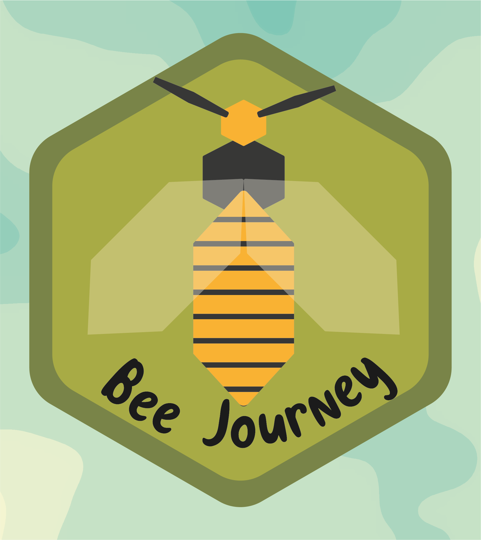 Cover image for Bee Journey