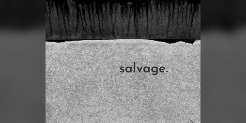 Cover image for salvage.