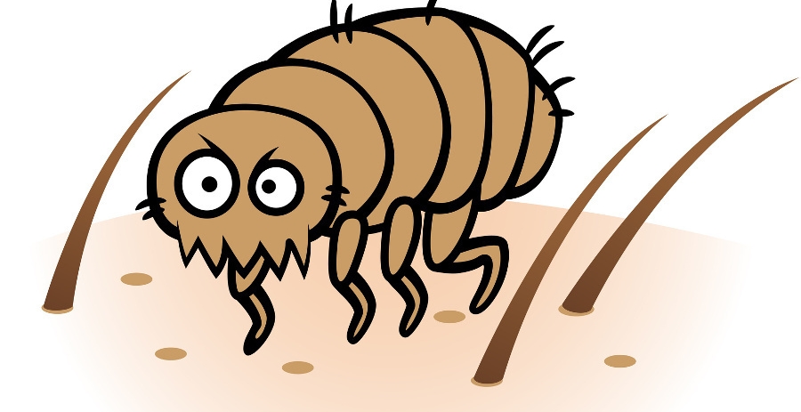 Cover image for fleas - awsome - full version