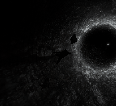 Cover image for A Void
