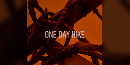 Cover image for ONE DAY HIKE