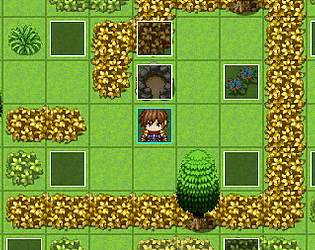 Forest Encounters