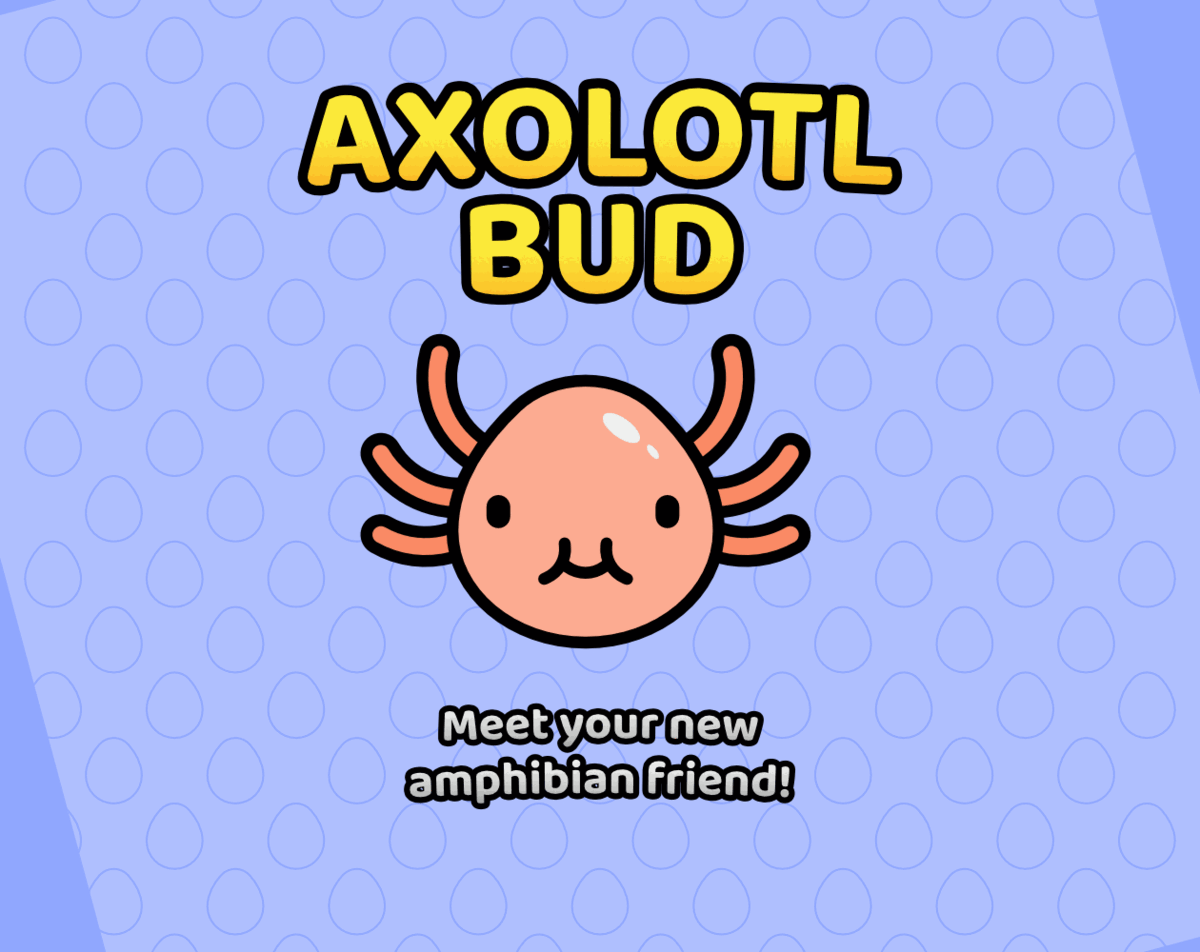 Axolotl Bud