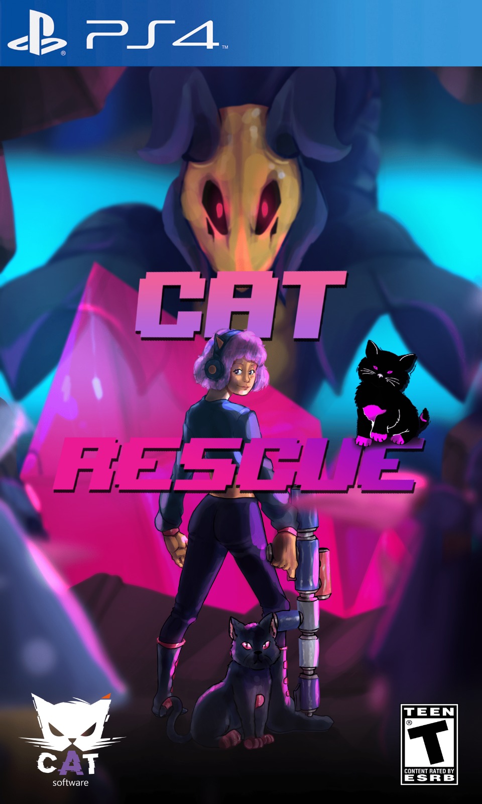 Cover image for Cat Rescue
