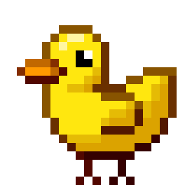 Ducky Adventures