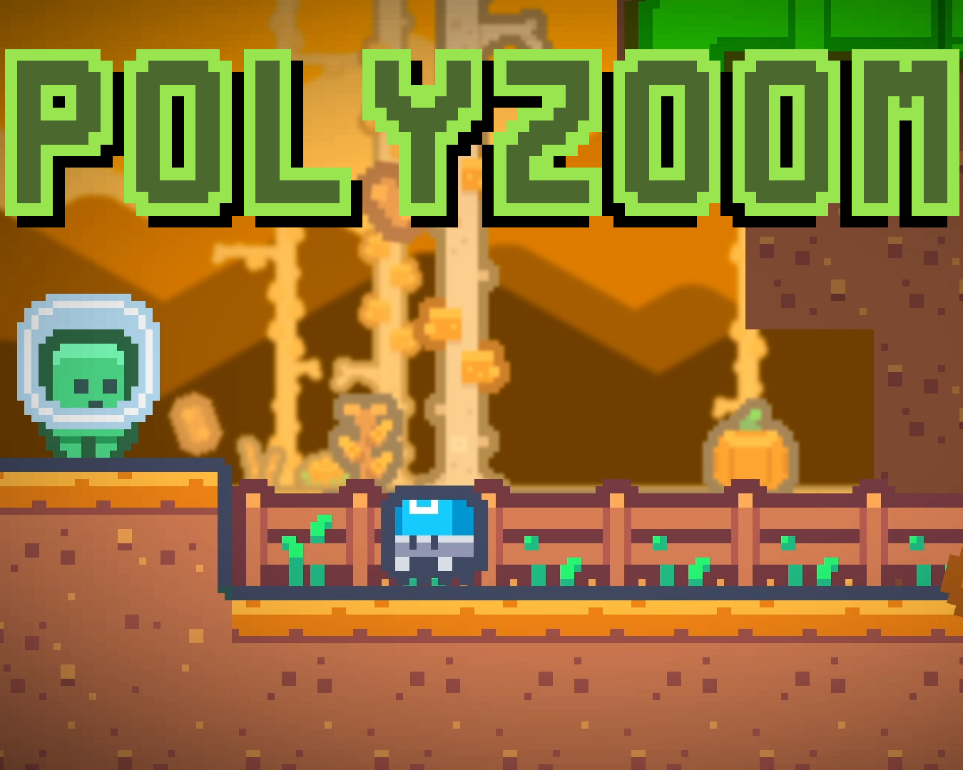 Cover image for Polyzoom