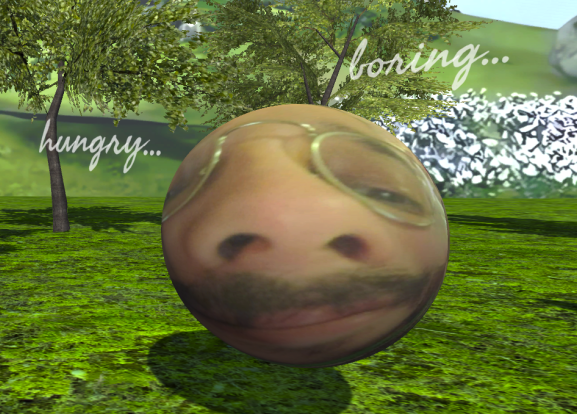 Care Your Scorb