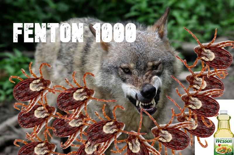 Fenton 1000