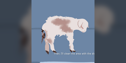 Cover image for Veterinarian Story