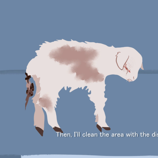 Veterinarian Story