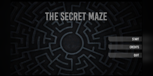 Cover image for The Secret Maze