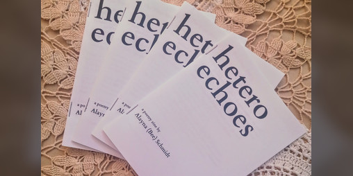 Cover image for Hetero Echoes