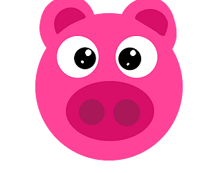 Flappy Pig