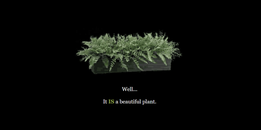 Cover image for the fern ending