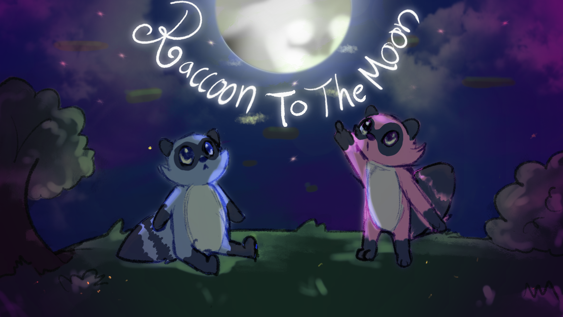 Cover image for Raccoon to the Moon